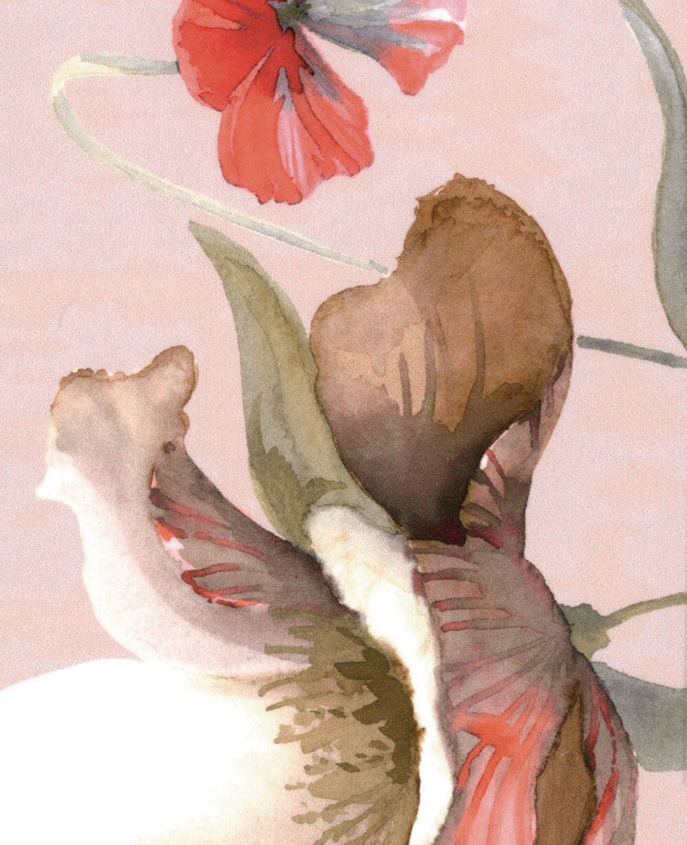 Trapunta invernale Matrimoniale Fleurette - Blumarine